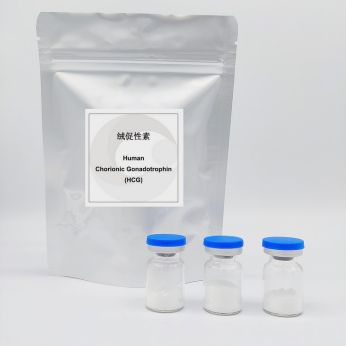 Chorionický gonadotropín HCG
